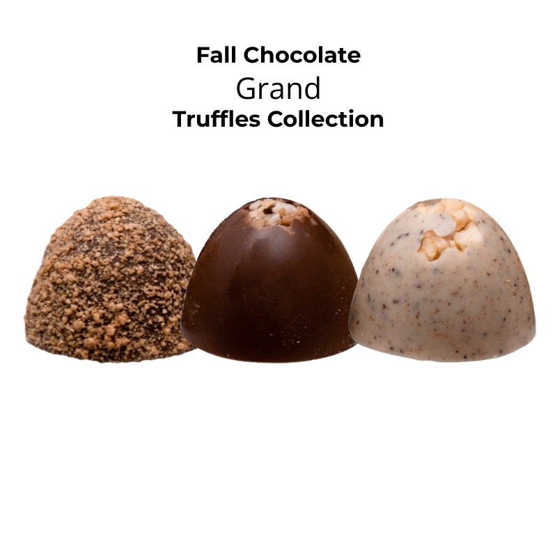 
                        
                          Fall Chocolate Truffles: Grand
                        
                      