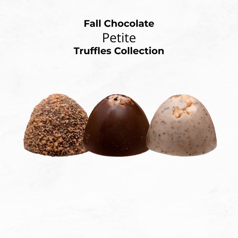 
                        
                          Fall Chocolate Truffles: Petite
                        
                      