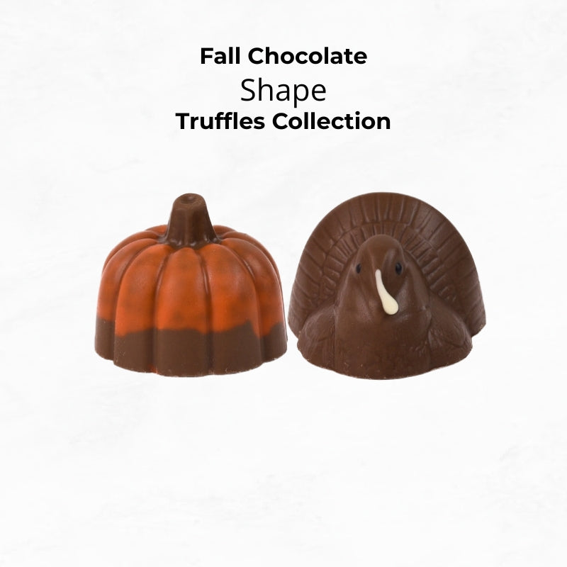 
                        
                          Fall Chocolate Shape Truffles: Pumpkin & Turkey
                        
                      